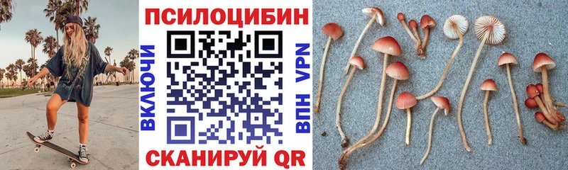 Псилоцибиновые грибы мухоморы Кинель
